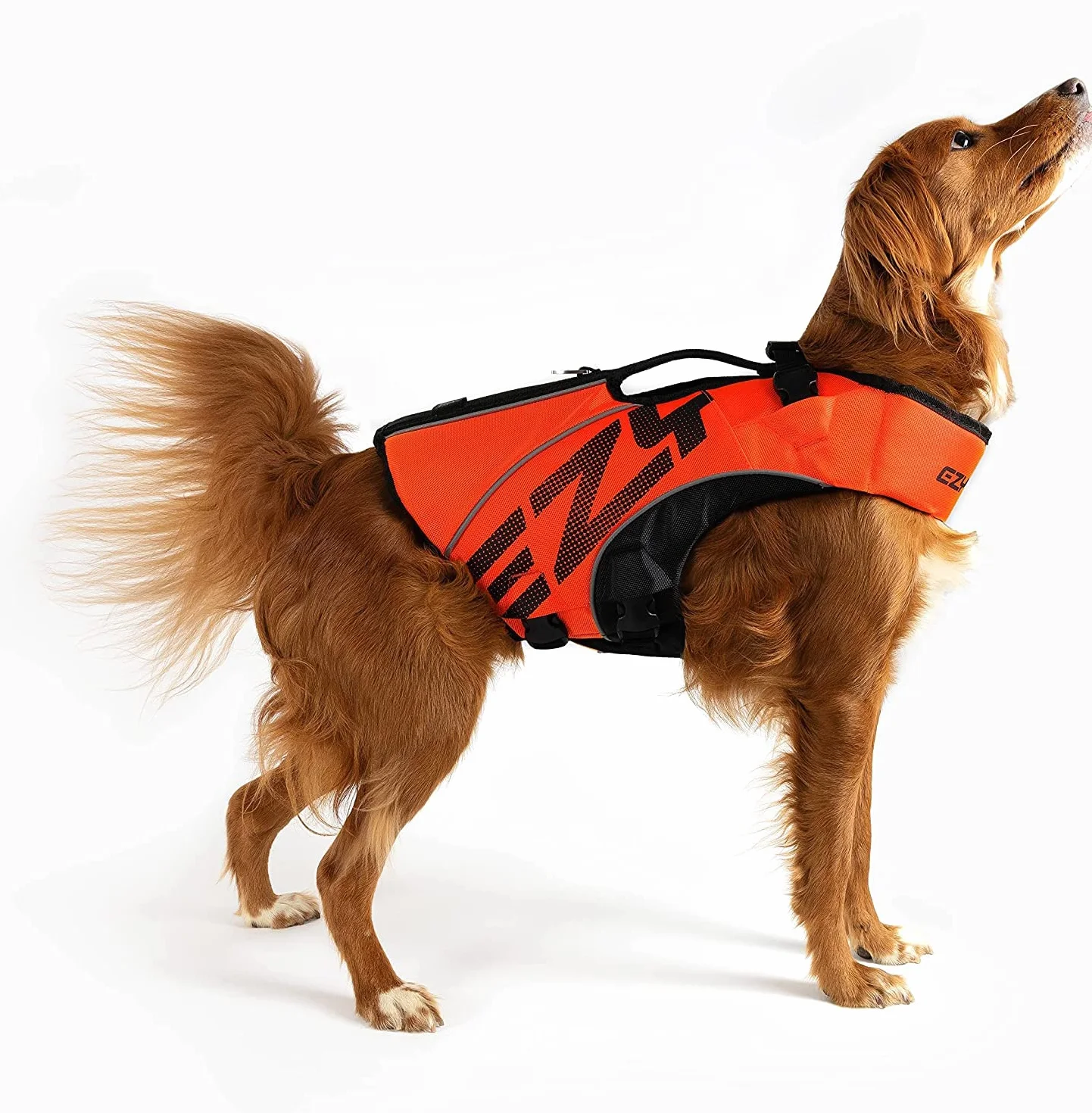 EzyDog Schwimmweste Hund – Premium Schwimmhilfe für kleine, mittlere & große Hunde – DFD X2 Boost Rettungsweste für Pool, Strand & Boot (S, Rot)