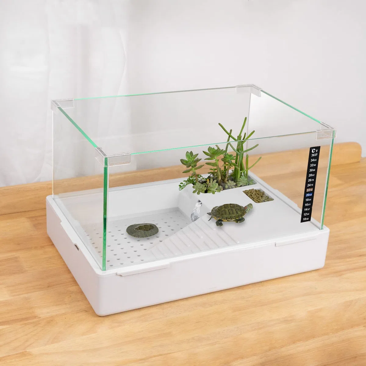 BETAZOOER Schildkrötenbecken mit einstellbarem Wasserpumpenfilter, Vollansicht, Schildkrötenaquarium, Glasmaterial, leicht zu wechseln und zu reinigen für kleine Kreaturen