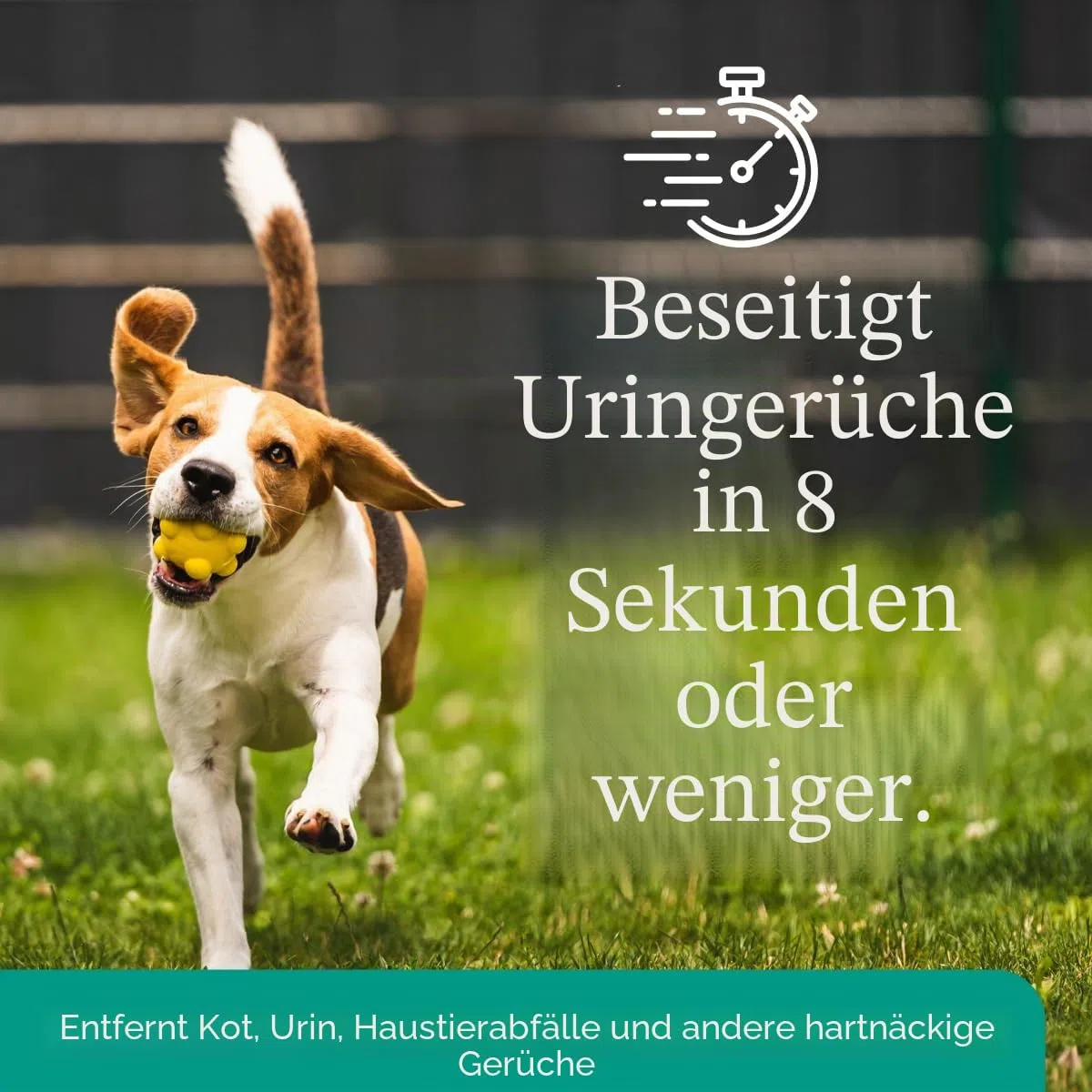 Eco Strong Geruchsvernichter für den Außenbereich, Enzymreiniger für Hunde, leistungsstark, für Tiere und Hof, Rasen, Zwingern, Terrassen, Decks (1 Gallon)