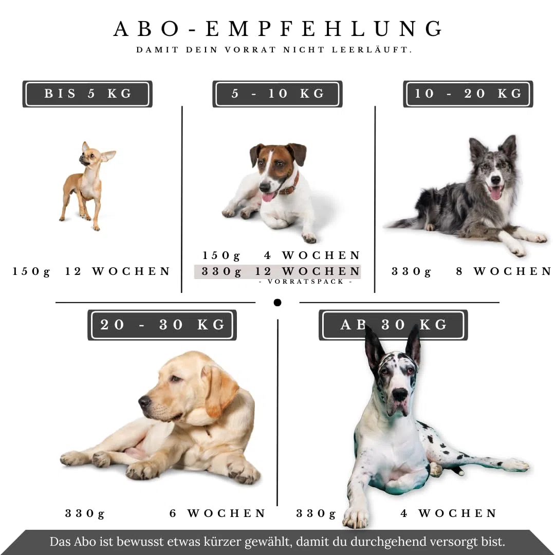 Senior+ | Hyaluronsäure, MSM, Ginkgoblätter, für Hund u. Katze ca. 400 Tabletten