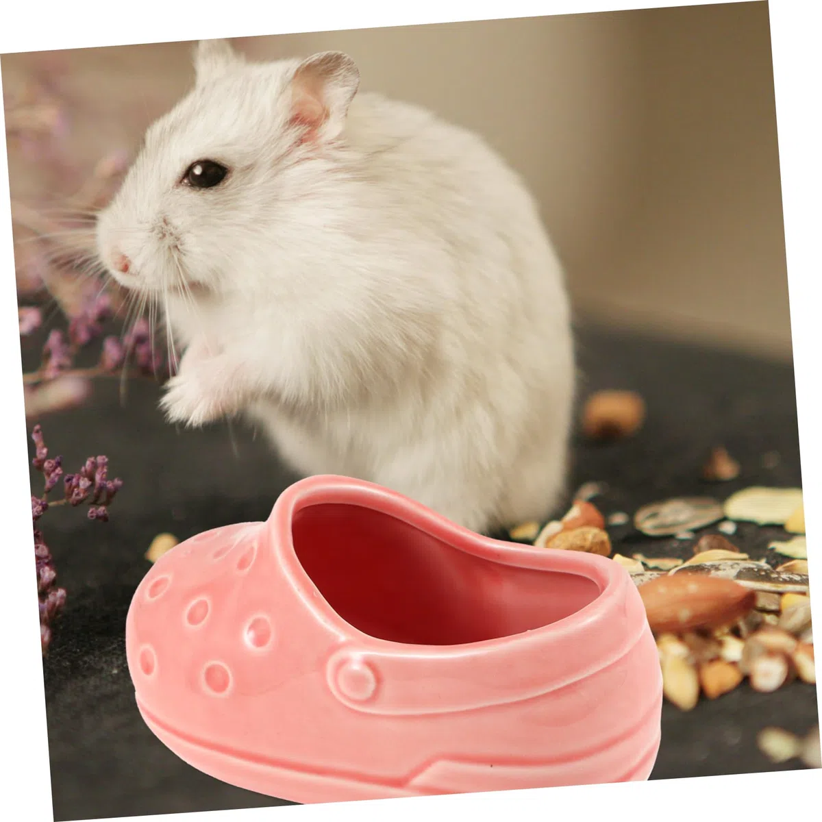 Yardwe 5stücke Keramische Hamster Futterschale rutschfeste Kleine Tiernapf Geeignet Für Hamster Mäuse Meerschweinchen Und Andere Kleintiere Leicht Zu Reinigen Langlebig Und Hygienisch