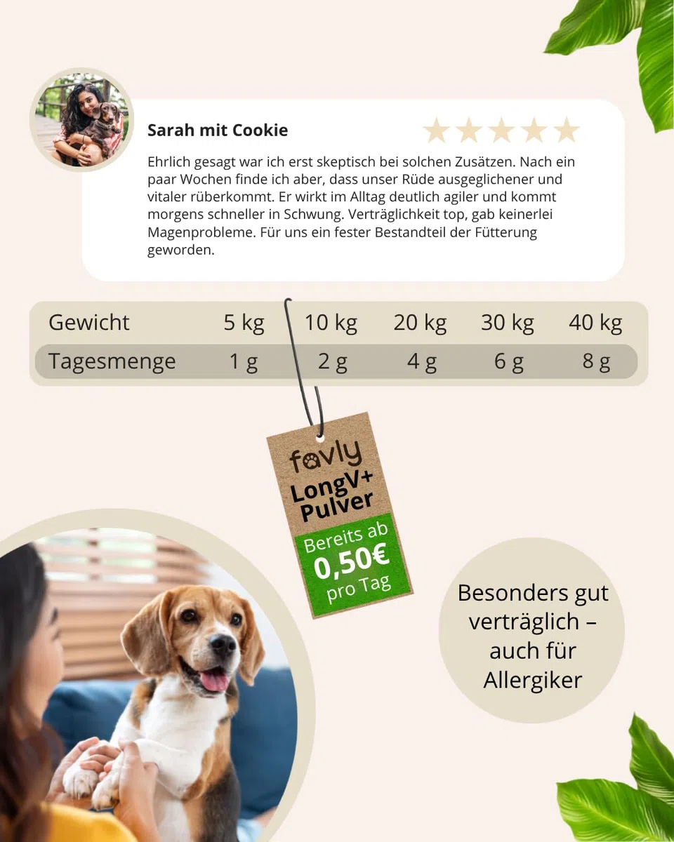 LongV+ – Zellschutz & Vitalität für Hunde – tierärztlich entwickelt – Grünlippmuschel, MSM, Vitalpilze & Antioxidantien – Getreide- & glutenfreies Pulver – 6er Set (6 x 100 g)