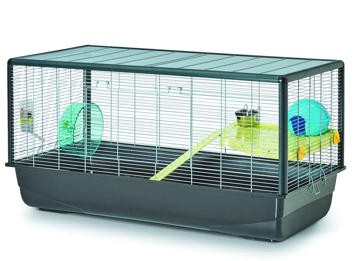 Hamsterheim "Hamster Plaza" 100 x 50 x 50 cm