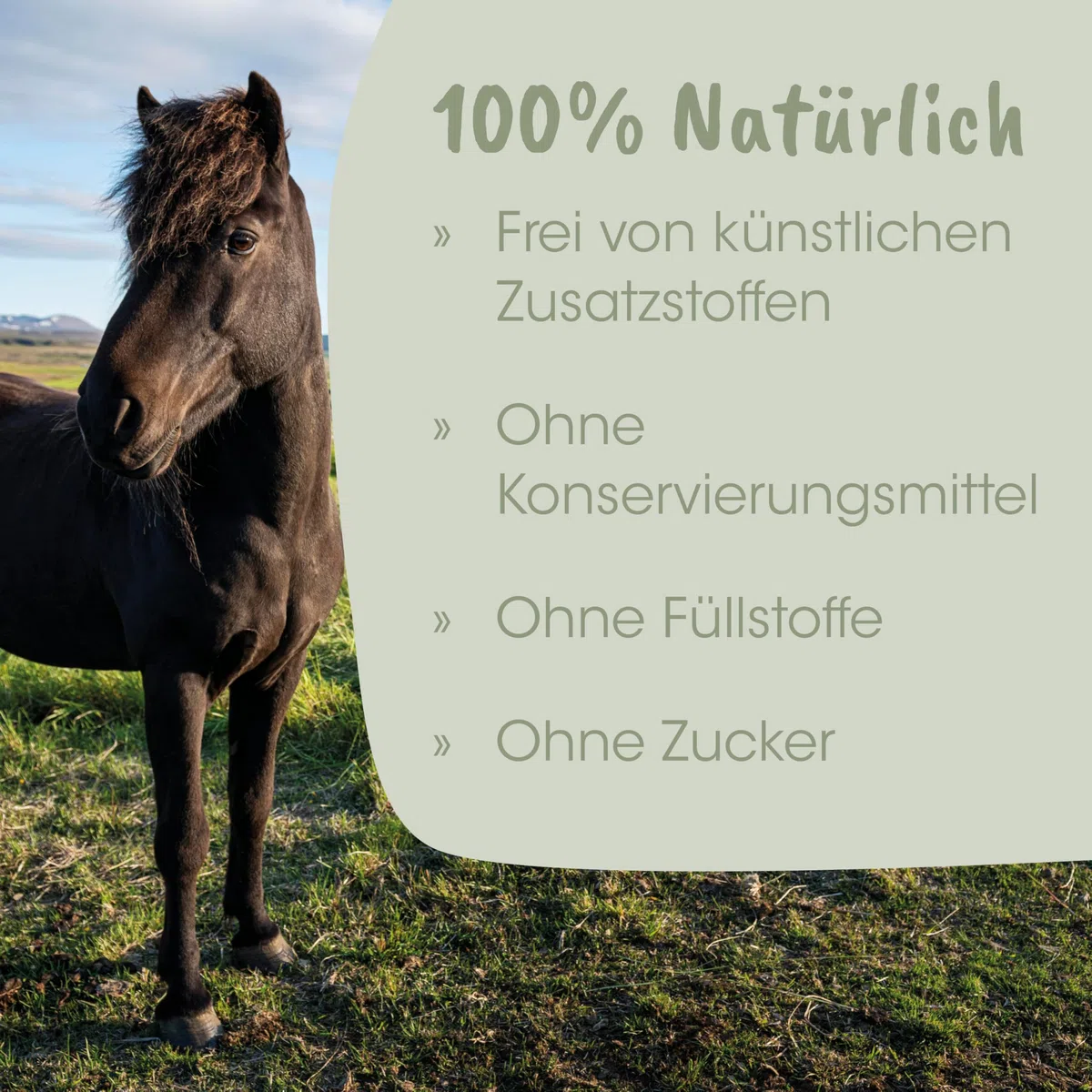 EquiGreen Fell & Haut Vital 3kg – Natürliche Unterstützung für gesundes Pferdefell