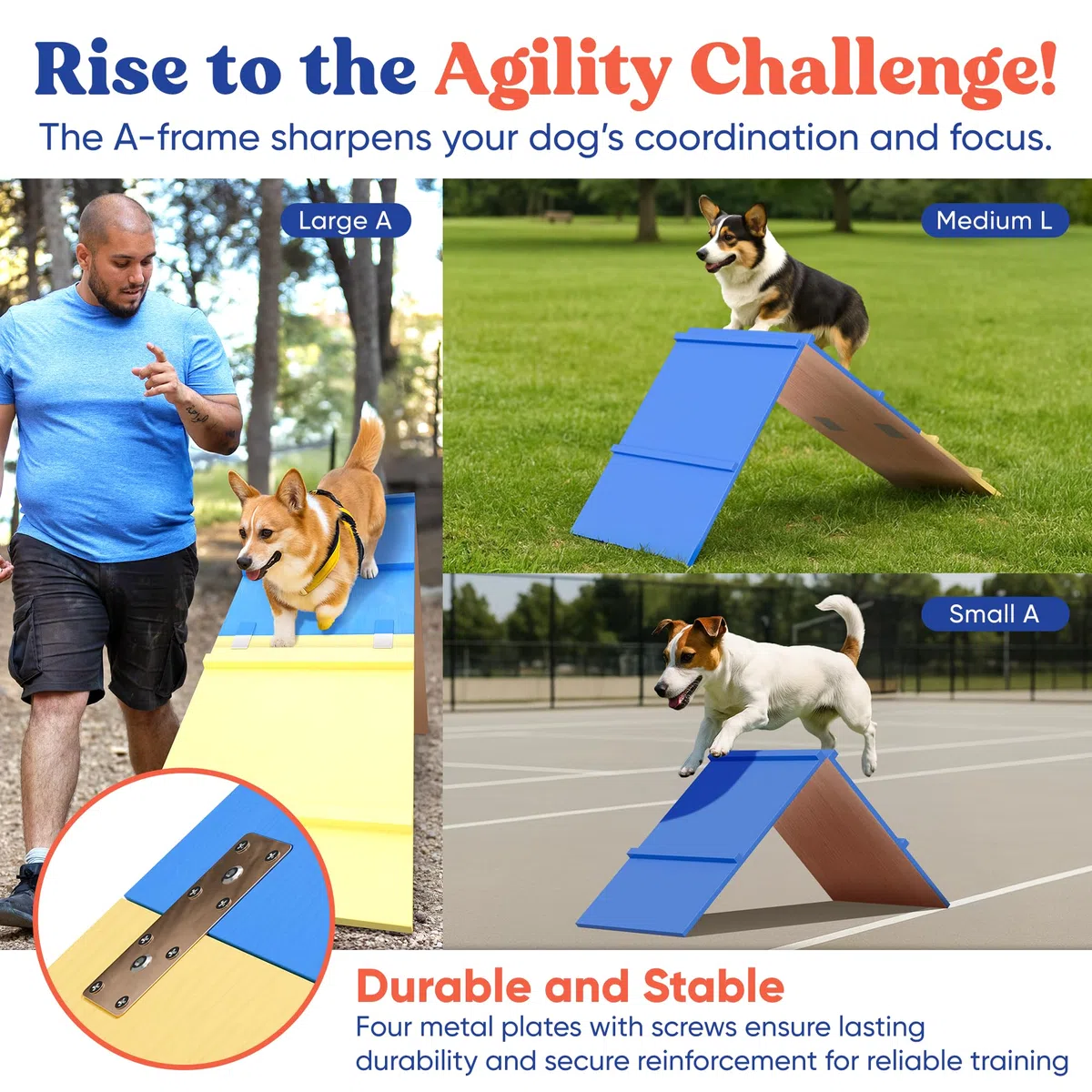 FetchFlow Agility-Ausrüstung für Hunde – Komplettes Hunde-Agility-Kurs-Hinterhof-Set mit geflochtenen Stangen, A-Rahmenleiter, Kegeln, Hunde-Springreifen, Hunde-Agility-Tunnel-Sandsäcken, robustes