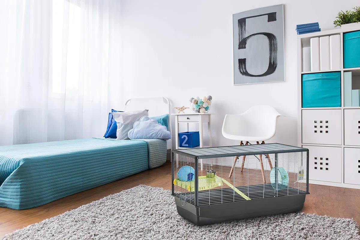 Hamsterheim "Hamster Plaza" 100 x 50 x 50 cm