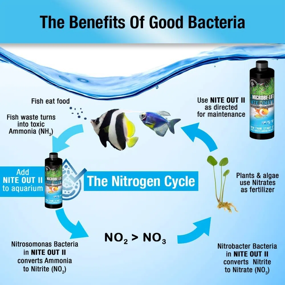 MICROBE-LIFT Nite-Out II – Bakterienstarter für Süßwasser & Meerwasser Aquarium, für schnellen Fischbesatz, 3785 ml, mehrfarbig, NITEH64