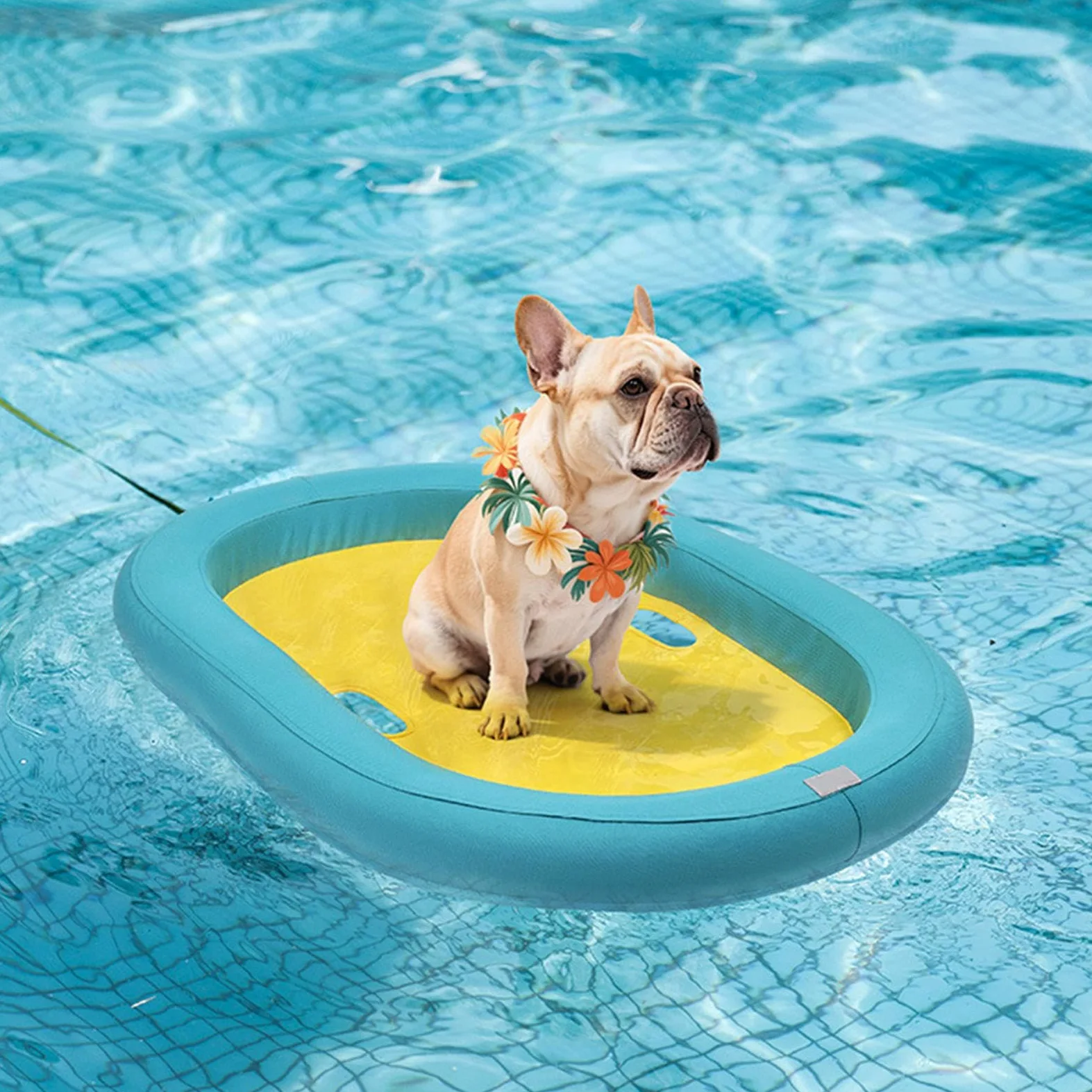 Hunde-Schwimminsel Schwimminsel Für Hunde | Leichte & Leckdichte Hundeschwimmmatte Für Garten, Teich Und Freizeit – Wasserspaß Im Freien