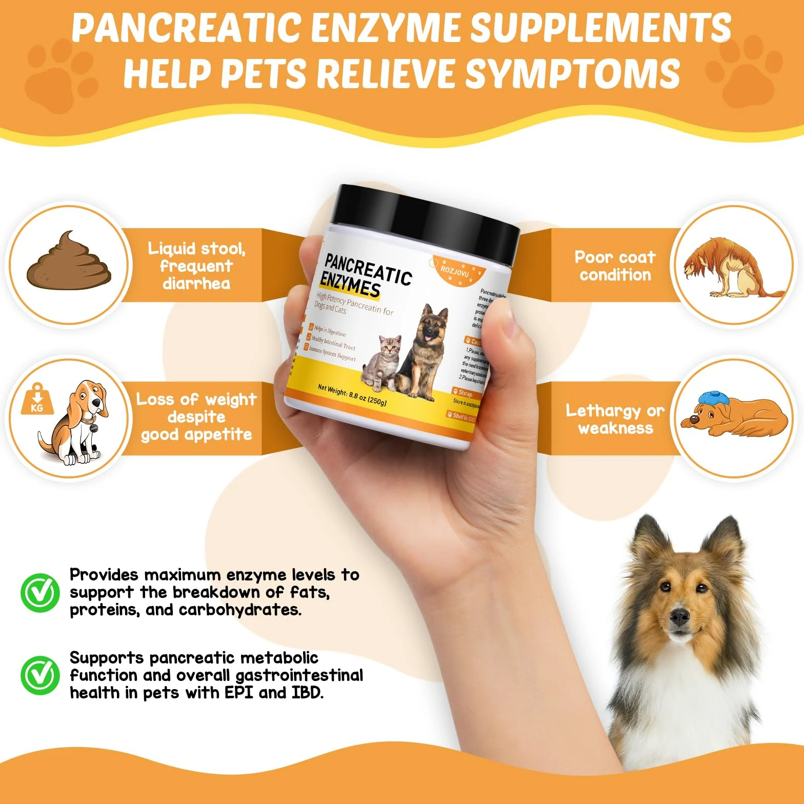 Pankretase Verdauungsenzyme, 10x Pankreatin, Pankreatin Für Hunde Und Katzen, Pankreasenzyme, Ideal Haustiere Mit EPI Pankreasenzyme