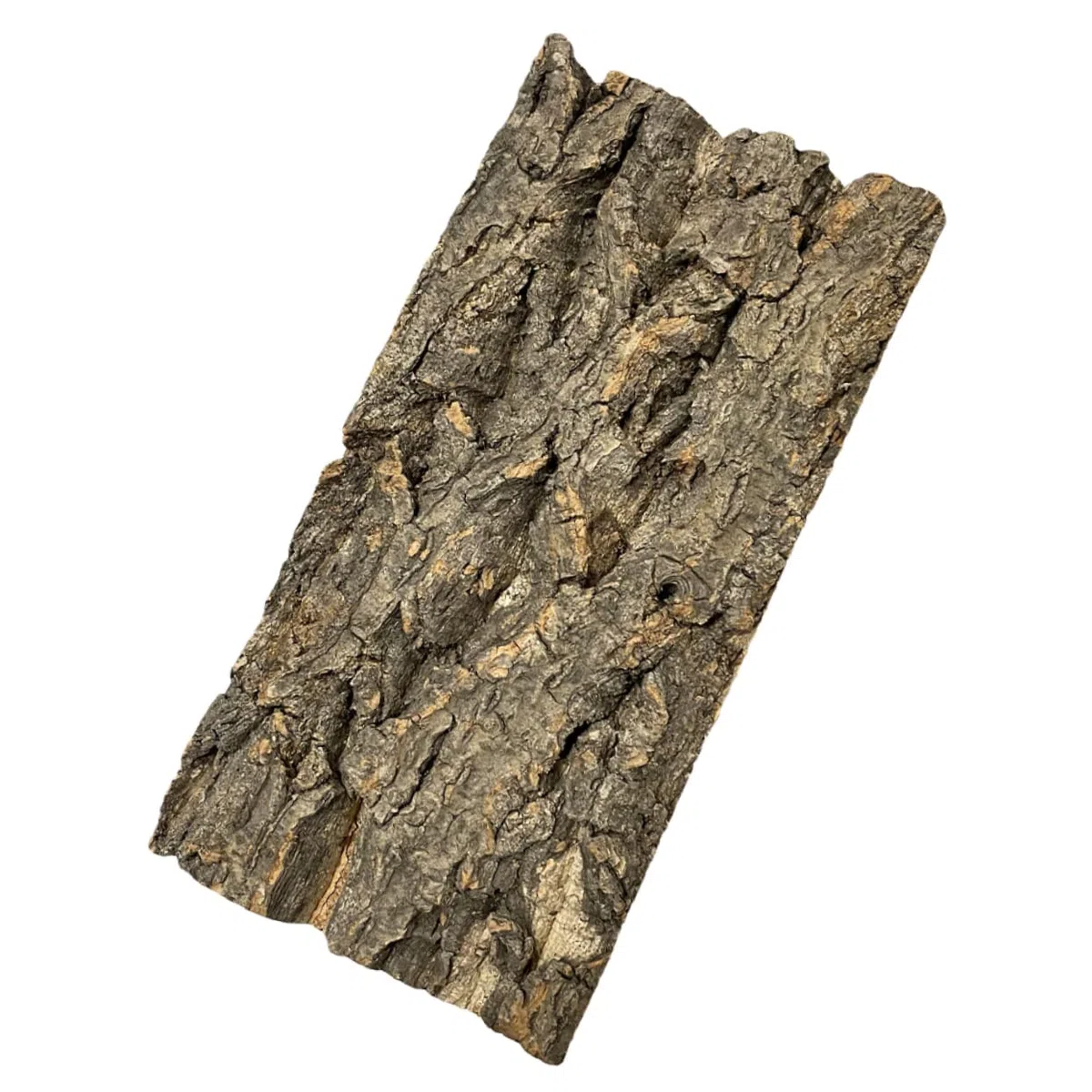INOOMP 10stücke Reptilien-Terrarium Hintergrund Aus Natürlicher Baumrinde Langlebige Dekoration Für Aquarien Und Terrarien Geeignet Für Schildkröten Schlangen Und Andere Haustiere
