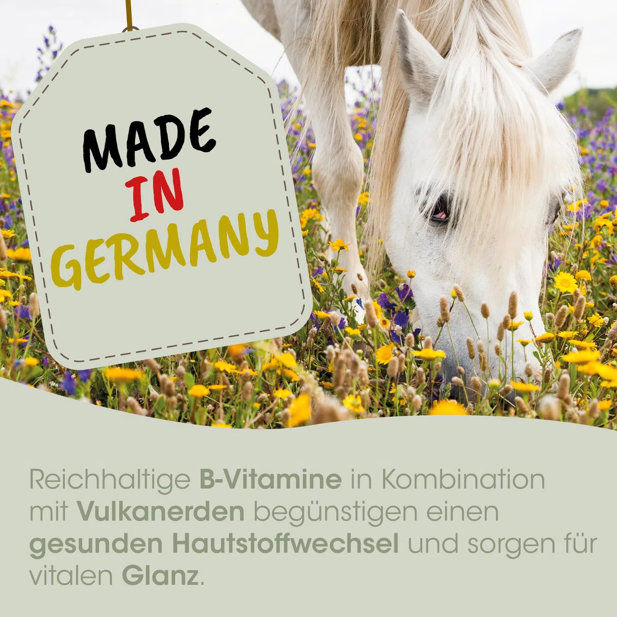 EquiGreen Fell & Haut Vital 3kg – Natürliche Unterstützung für gesundes Pferdefell