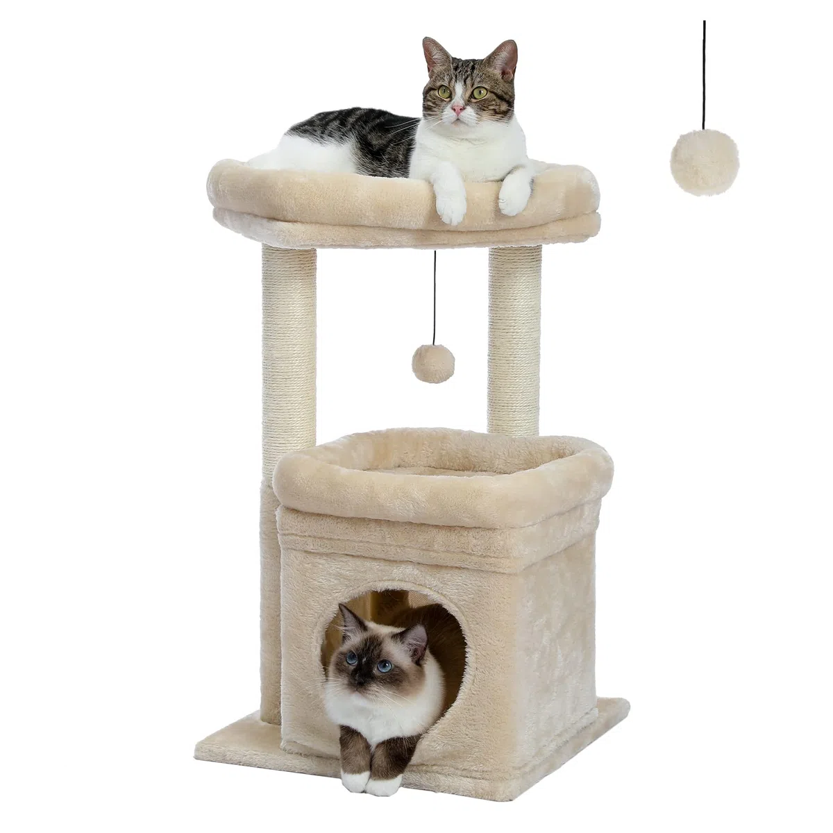 PEQULTI Indoor Kratzbaum Turm kleine Katzen, Sisalpfosten & gemütliche Höhle, Beige | Private weiche Katzenhütte Soft Top Sitzstange Natursisal Kratzstämme Plüsch Pom Pom Spielzeug für Indoor Kätzchen