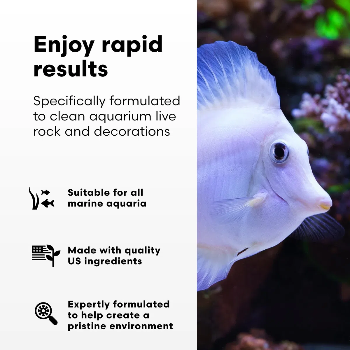 Brightwell Aquatics MicroBacter Clean Marine Aquarium-Reinigungshilfe, 20 l