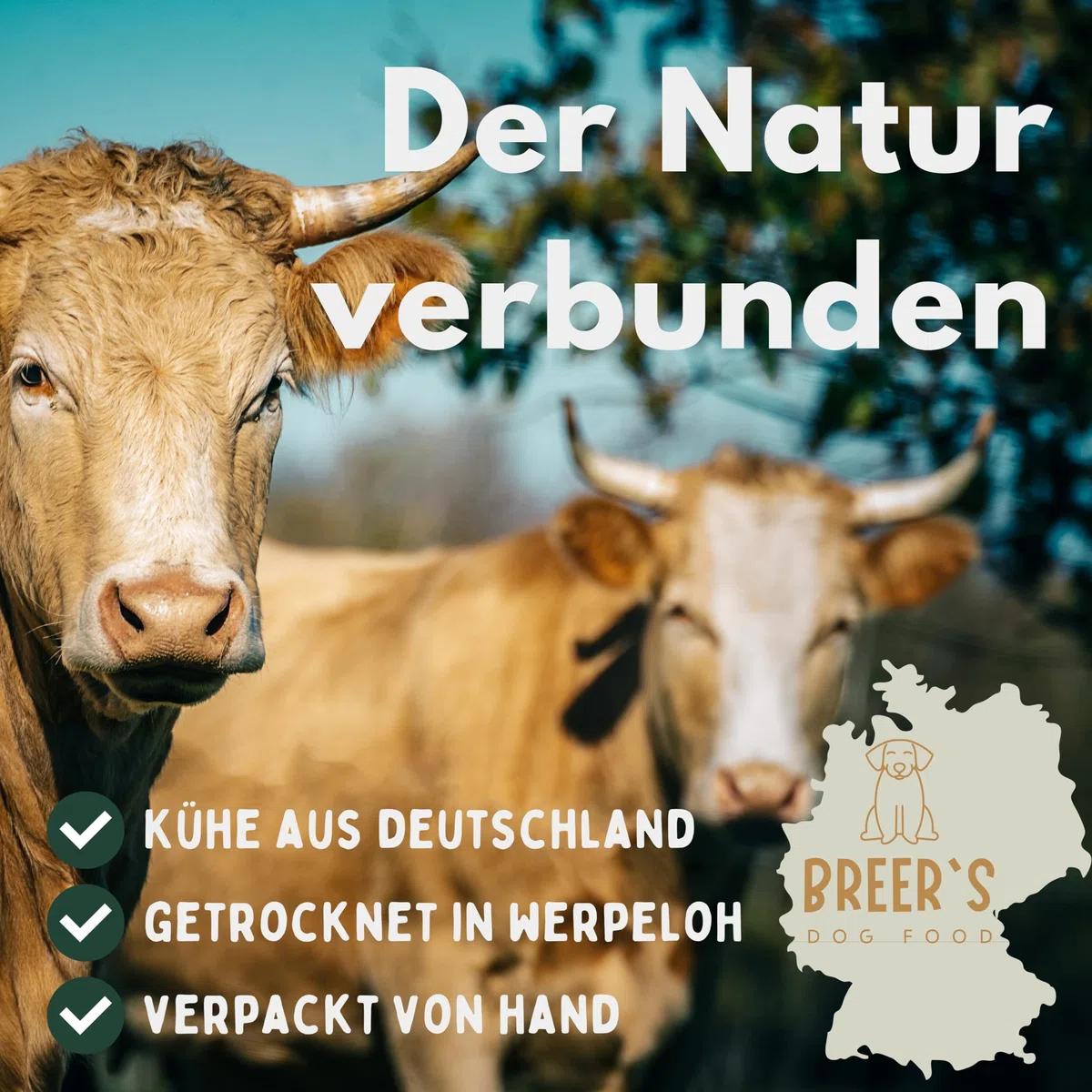 BREERs Getrocknete Rinderkopfhaut für Hunde 15cm, 5kg Belohnung-Snack Getreidefrei, Deutsche Herstellung, Leckerli Kauartikel Große Hunde