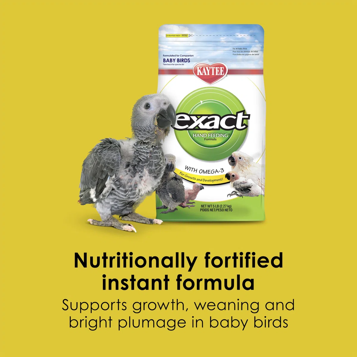 Kaytee Exact Futter zur Handfütterung von Babyvögeln