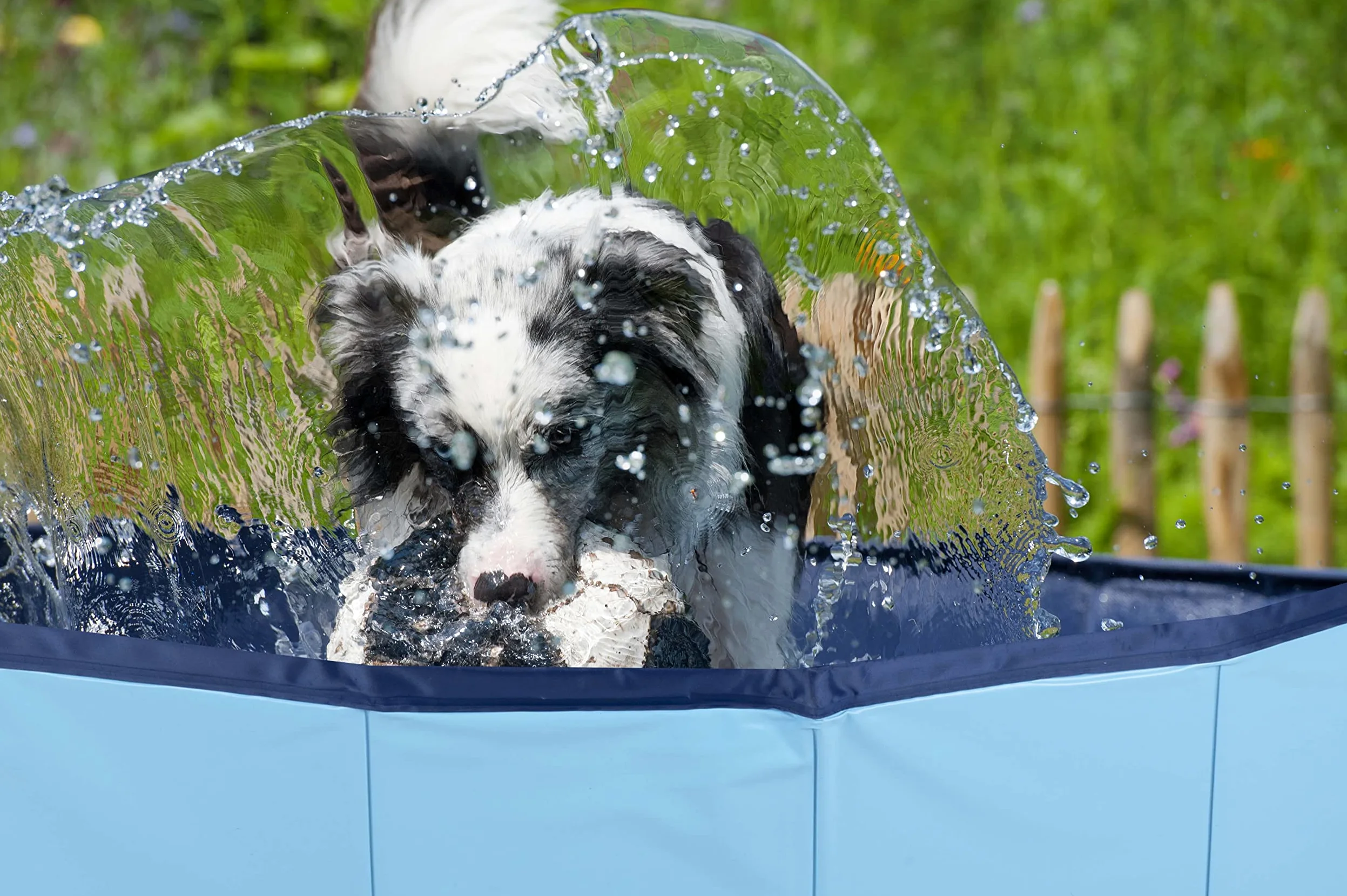 maxxpro Hundepool - 160 x 30 cm - Große Hunderassen - Faltbar - Anti-Rutsch-Boden - mit Entleerungsventil - Blau