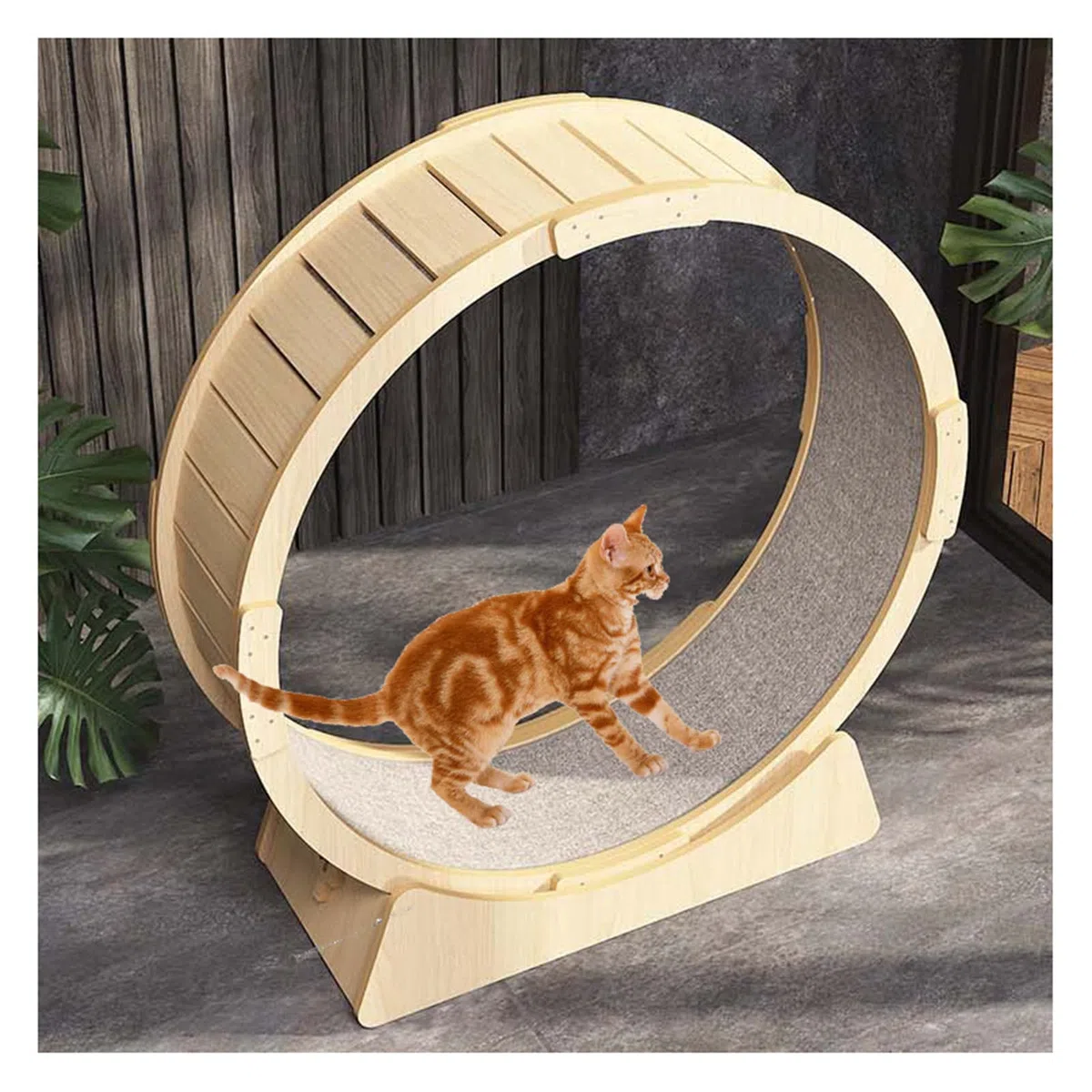 Großes Laufrad für Katzen, 102 cm/40,2 Zoll Laufband für Katzen zur Gewichtsabnahme und täglichen Bewegung - Spaß beim Laufen, Drehen und Kratzen