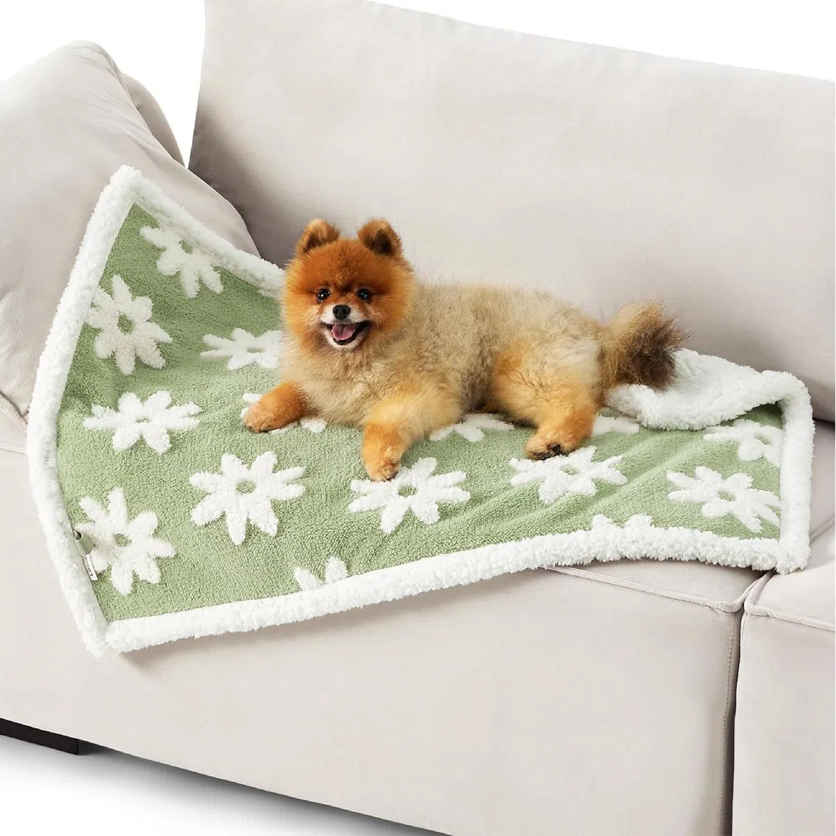 Hundedecke, wasserdicht, auslaufsicher, Haustierdecken für Hunde und Katzen, flauschig, warm, für kleine und mittelgroße Hunde, Flanell-Haustier-Sofa-Abdeckung, Bettschutz (grüne Blume, 145 x