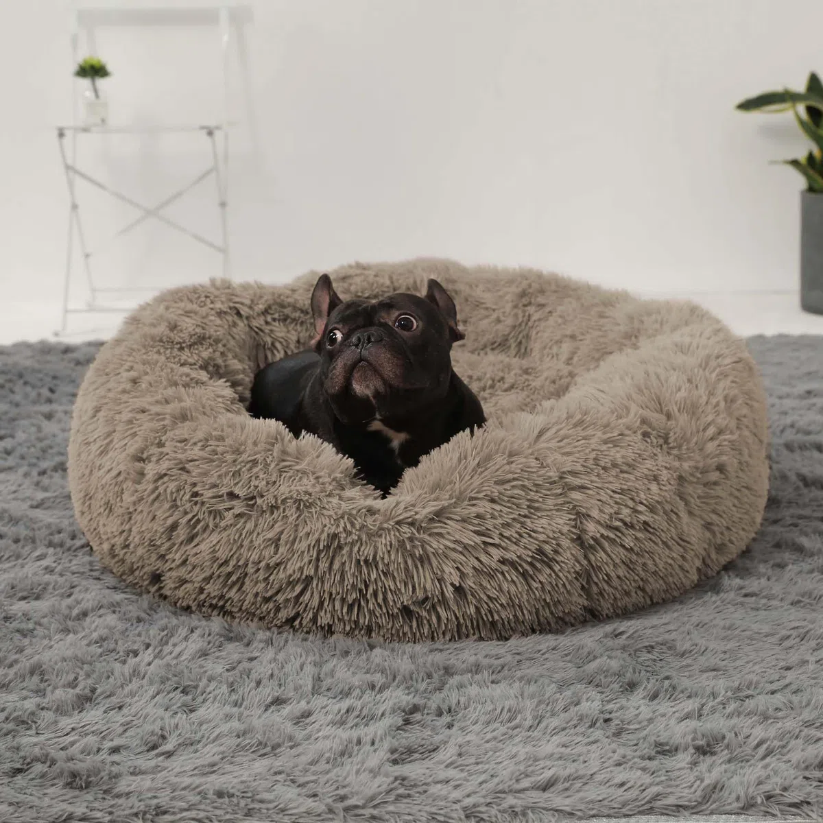 HACHIKITTY Calming Donut Cuddler Hundebett, rund, flauschiges Haustierbett mit eingenähtem Kissen für große Hunde, waschbar, groß, Taupe, 58 cm