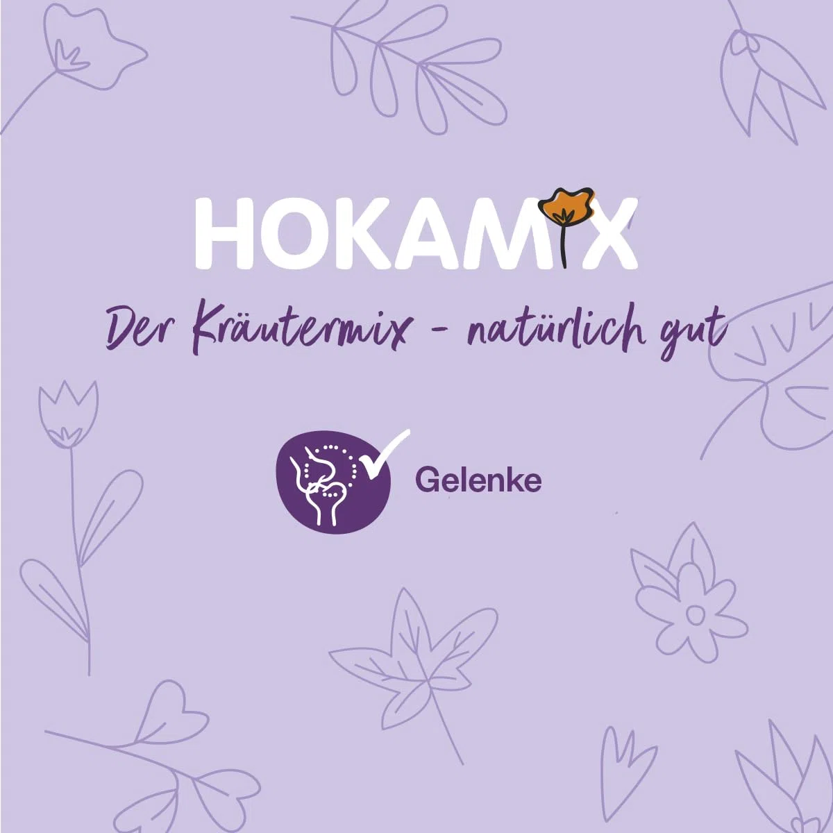 GRAU - das Original - Hokamix Mobility Booster Tabs, 1er Pack (1 x 390 Stück)