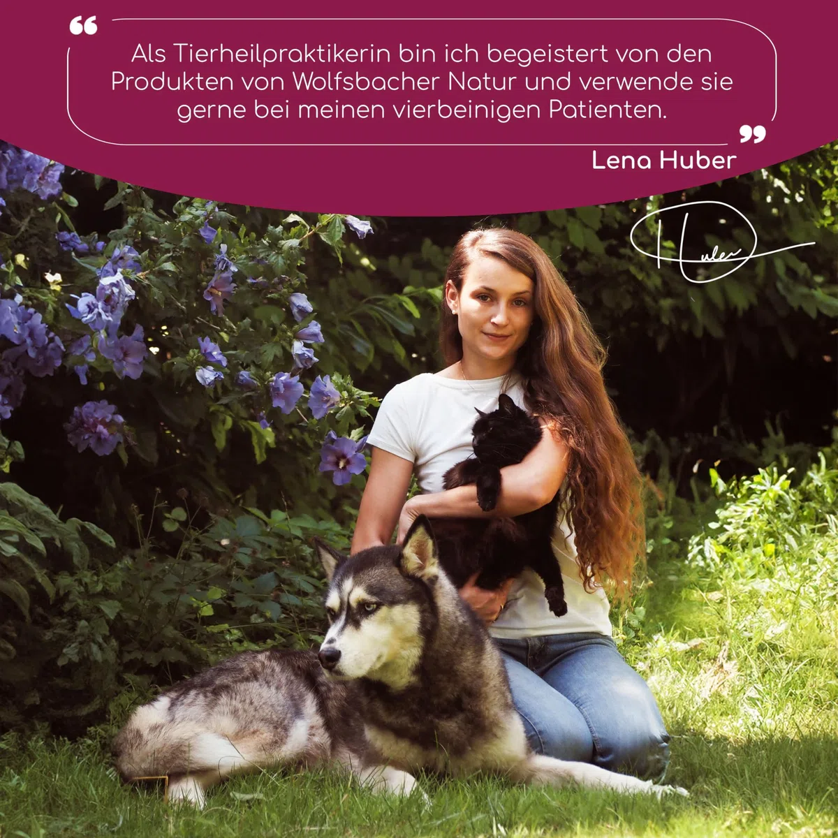 Verdauungs-Snack für Hunde | Magen & Darm Leckerli 4 x | Leckerlis mit präbiotischer Hefe & Kräutern | Rein natürlich, Unterstützt Darmflora & normalen KOT