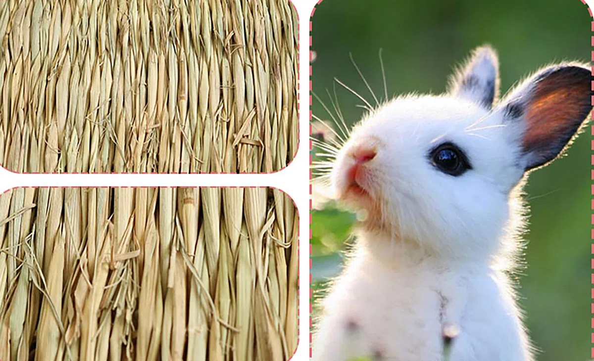 Yesland Gewebte Bettmatte für Kaninchen, Grasmatte und Hasenbett, Kaninchenbett und natürliches Kauspielzeugbett für Meerschweinchen, Chinchilla, Eichhörnchen, Hamster, Katze, Hund und Kleintiere, 12