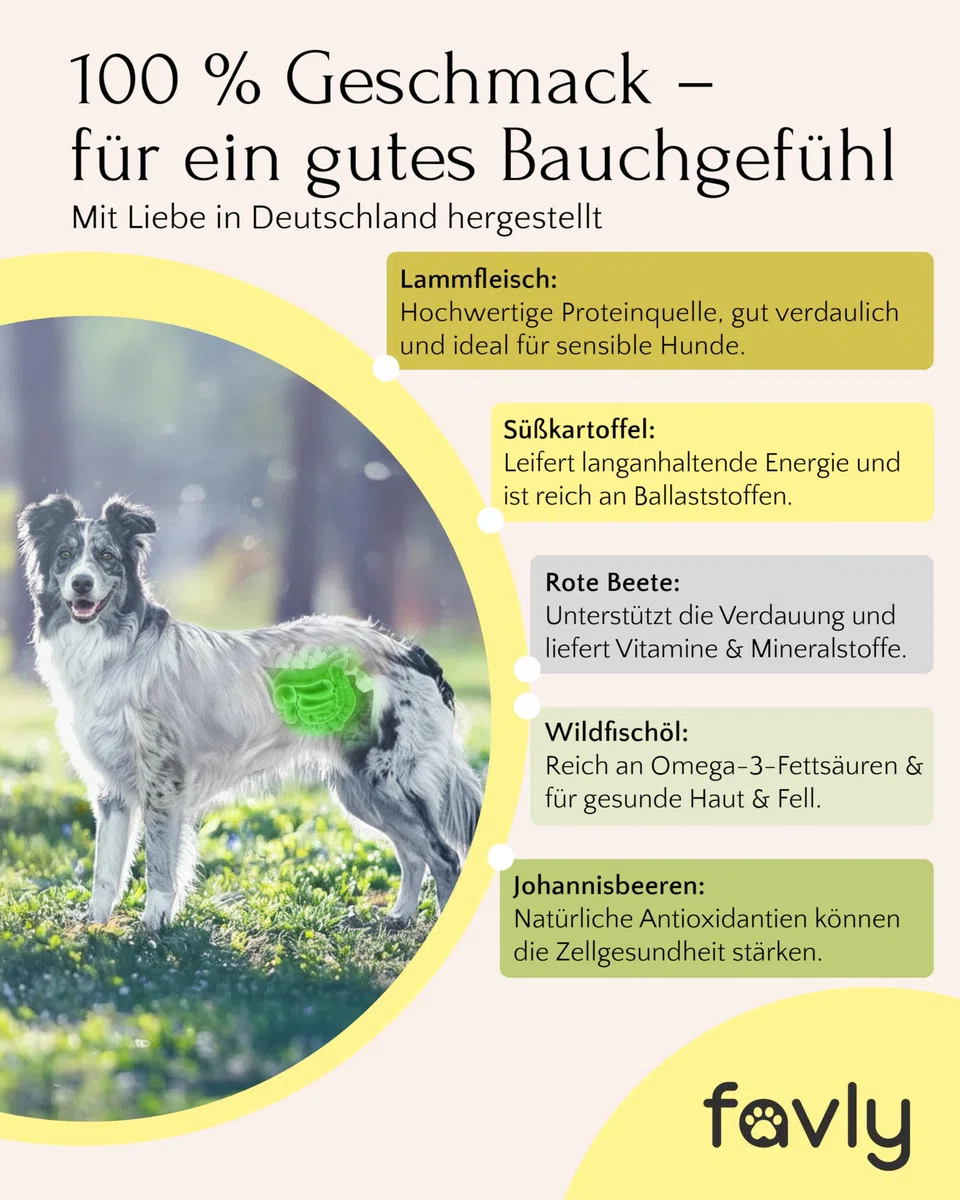 FAVLY – Weidelamm Trockenfutter für Hunde 12kg – kaltgepresst & glutenfrei – mit Rote Beete, Karotte & Hanföl – Monoprotein für Allergiker & Sensible Hunde – hoher Fleischanteil & ohne Zusätze