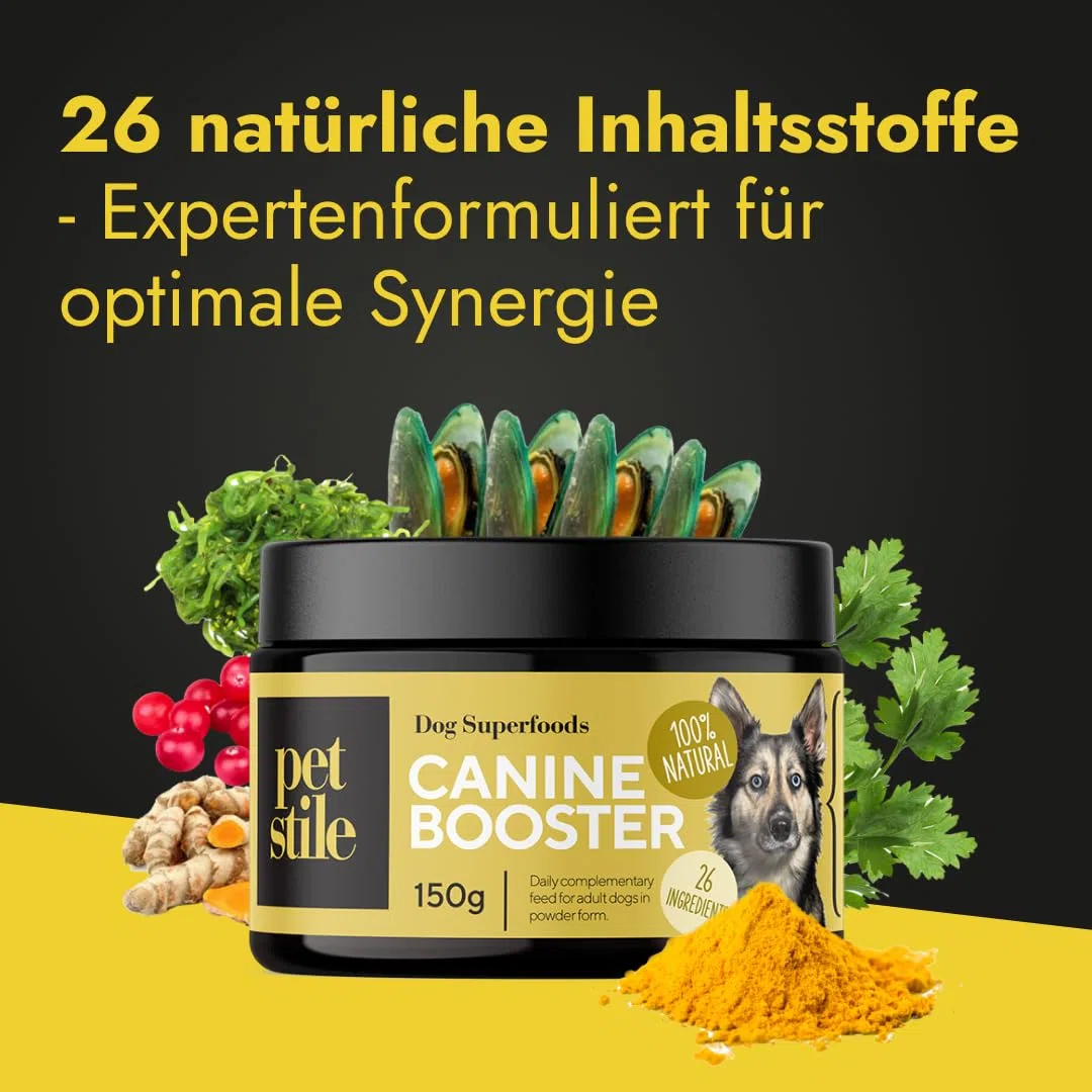 Canine Booster mit Grünlippmuschel-Extrakt für Hunde - Expertenformulierte Superfood-Mischung mit 26 Wirkstoffen - 150g Pulver