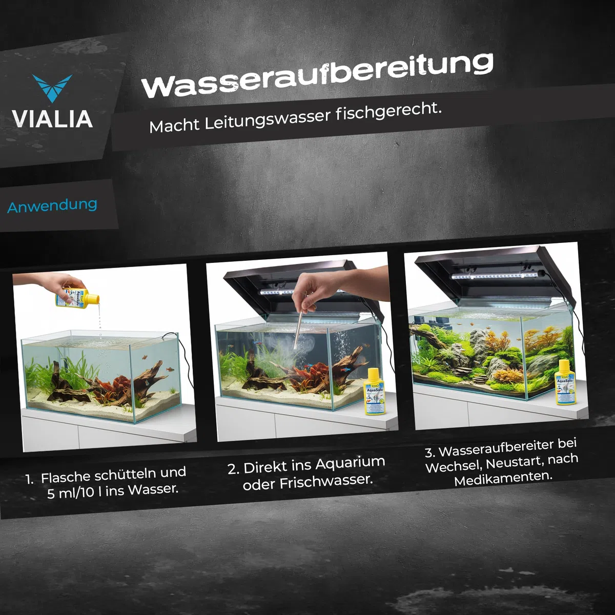 Aquarium Komplettset 60x30x30 cm | 54 Liter Glasbecken mit Juwel LED Abdeckung Schwarz | Starter-Set inkl. Heizer, Thermometer, Aufbereiter & Futter | Stoßfestes Floatglas & Diamantschliff