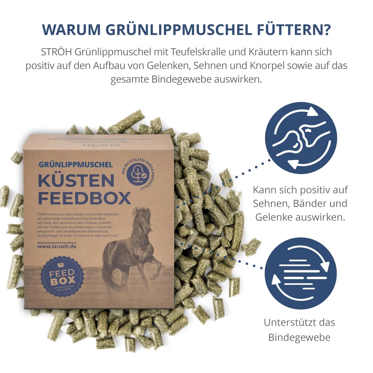 STRÖH Grünlippmuschel Pellets für Pferde - 4,5 kg Feedbox - 100% Natürlich