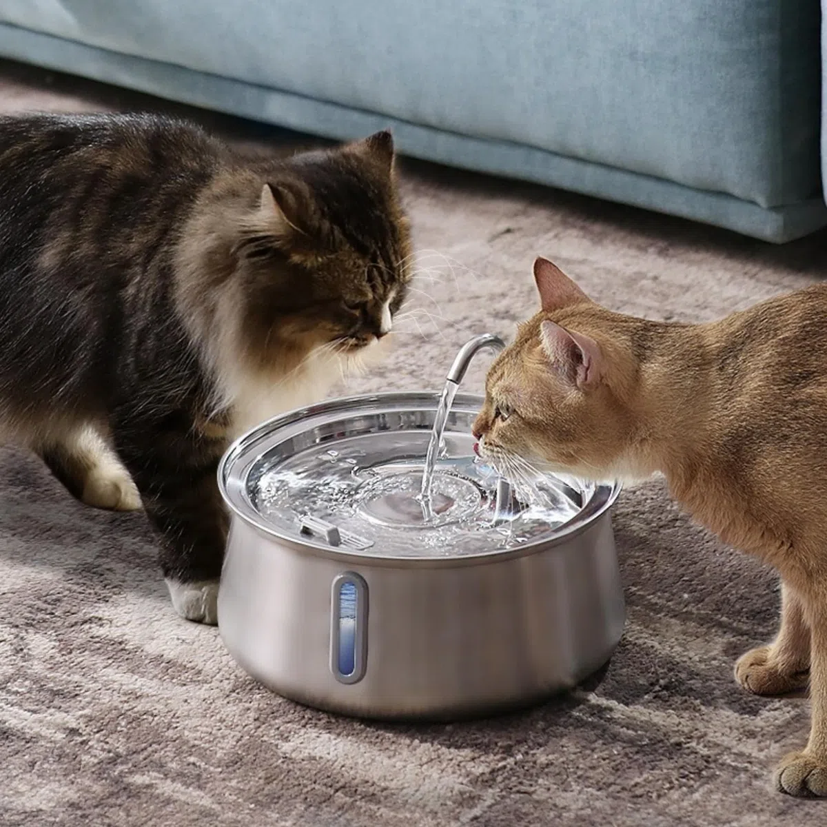 NordFlow 2.0 Katzenbrunnen,Edelstahl-Katzen-Trinkbrunnen 4 l, Geräuscharmes Design mit Wasserstandsanzeige, ideal für Katzen und Hunde