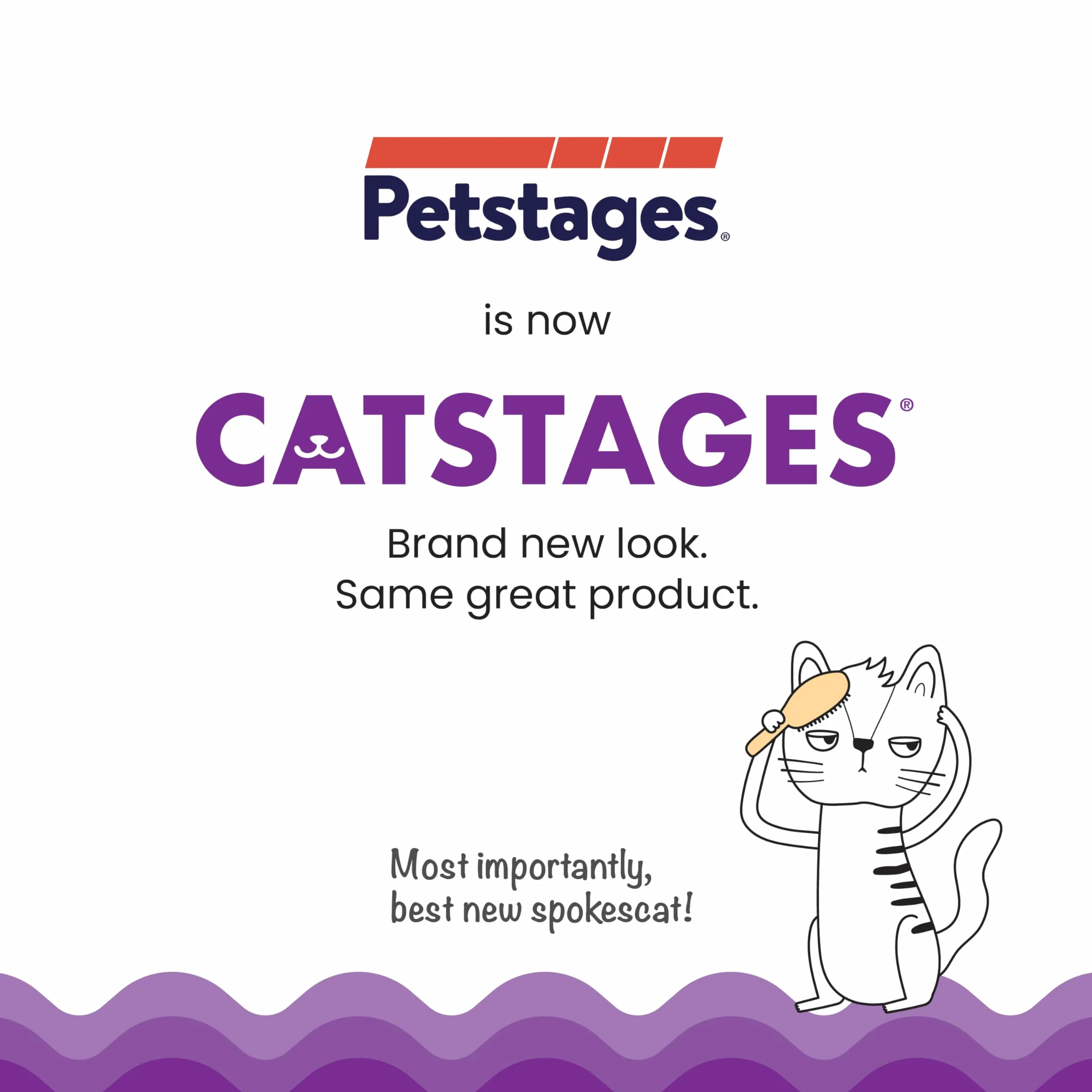 Catstages Gras Patch Jagdbox Katzenspielzeug