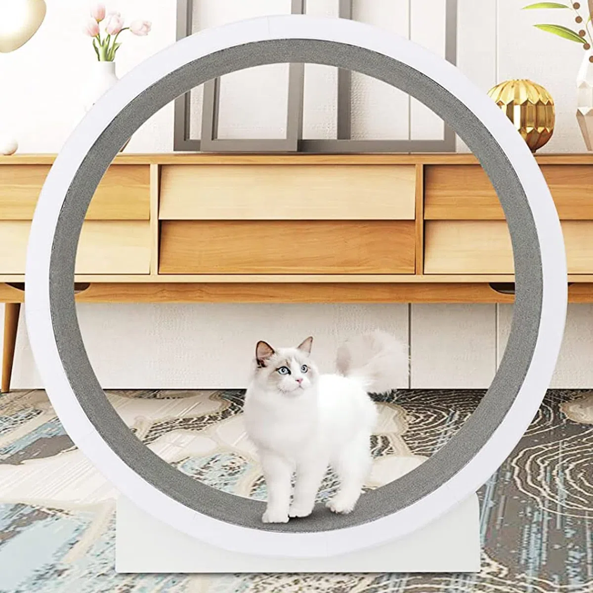 Katze Laufband Katze Heimtrainer Katze Klettergerüst Katzenspielzeug Katzenstreu Katzenmöbel Roller Katze Laufrad,für die tägliche Bewegung Ihres Haustieres Durchmesser 1,2 Meter