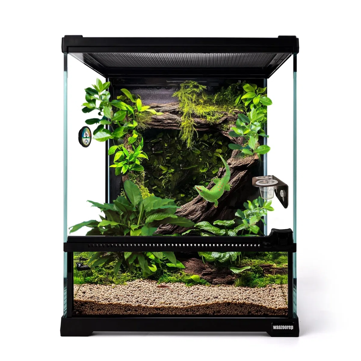Mini-Reptilien-Glas-Terrarium, 20,3 x 20,3 x 25,4 cm, Vollansicht mit Öffnung vorne, Amphibien, Gehege, Lebensraum für Leopard, Gecko, Vogelspinne, junge Eidechse, Einsiedler, Krabbe,