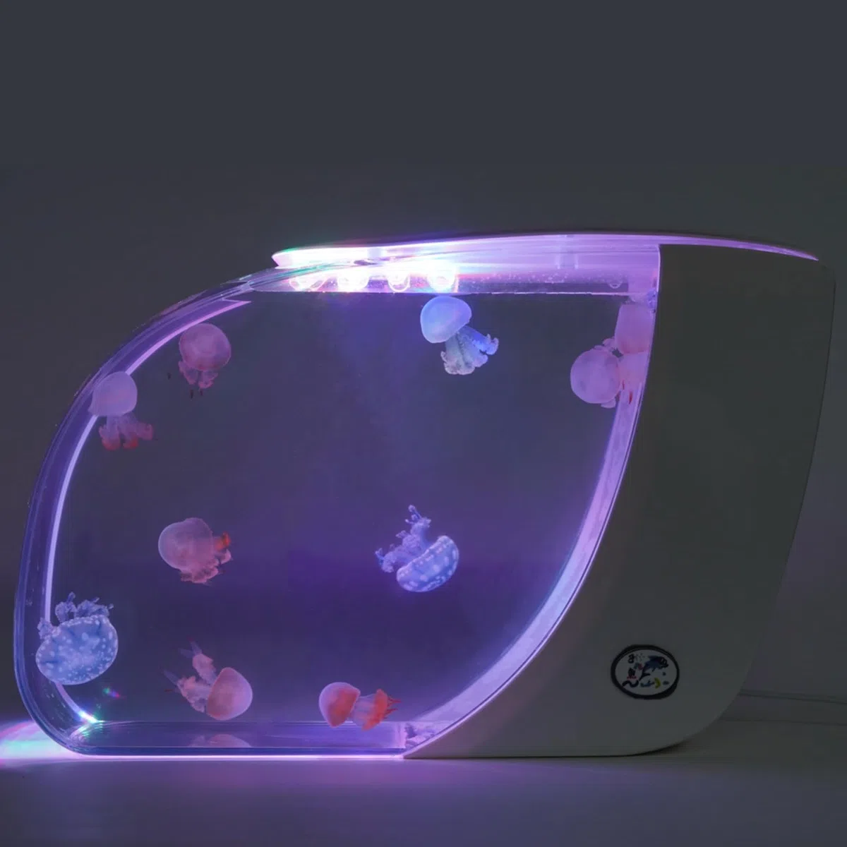 USB-Steckelektronik-Tank Desktop-Ökosystemaquarium mit 270 randloser ultraklarem Sicht intelligente Beleuchtung wissenschaftliche Filtration geräuschlose energiesparende Betrieb Tropf