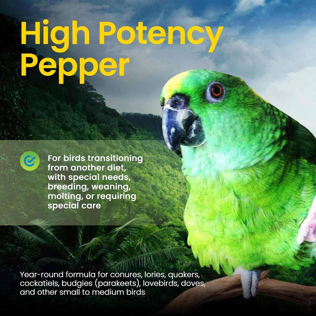 Harrison's Bird Foods Würziges hochwirksames fein – maximale Nährstoffformel für kleine bis mittelgroße Vögel, zertifiziertes biologisches, gentechnikfreies Haustier-Vogelfutter, tierärztlich