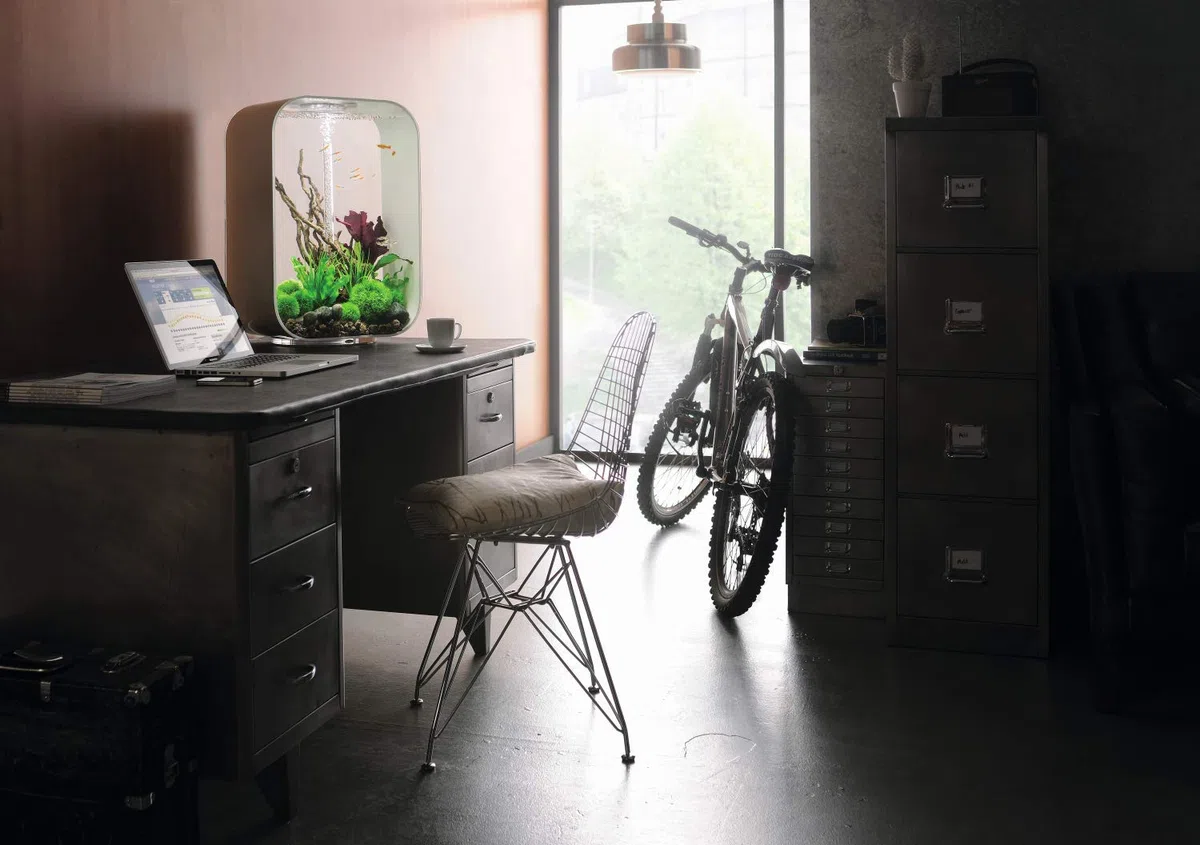 biOrb Life 60 MCR schwarz