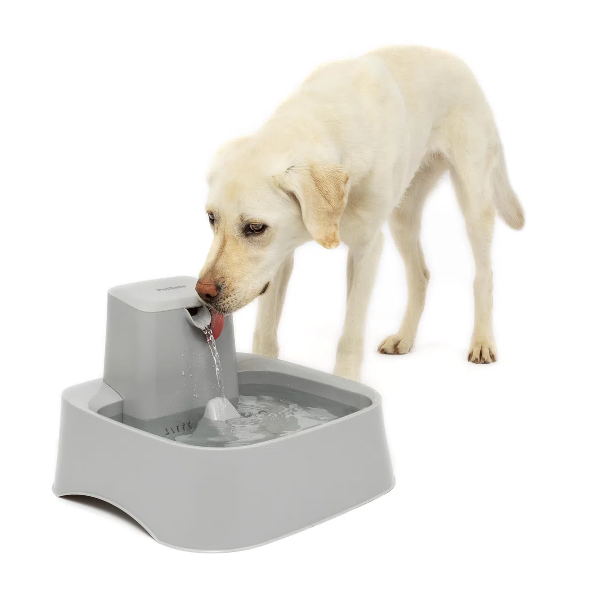 PetSafe Drinkwell Wasserbrunnen für Katzen, Hunde oder mehrere Haustiere – Automatischer Wassernapf – Pumpe und Wasserfilter im Lieferumfang enthalten – spülmaschinenfest – leicht zu reinigender