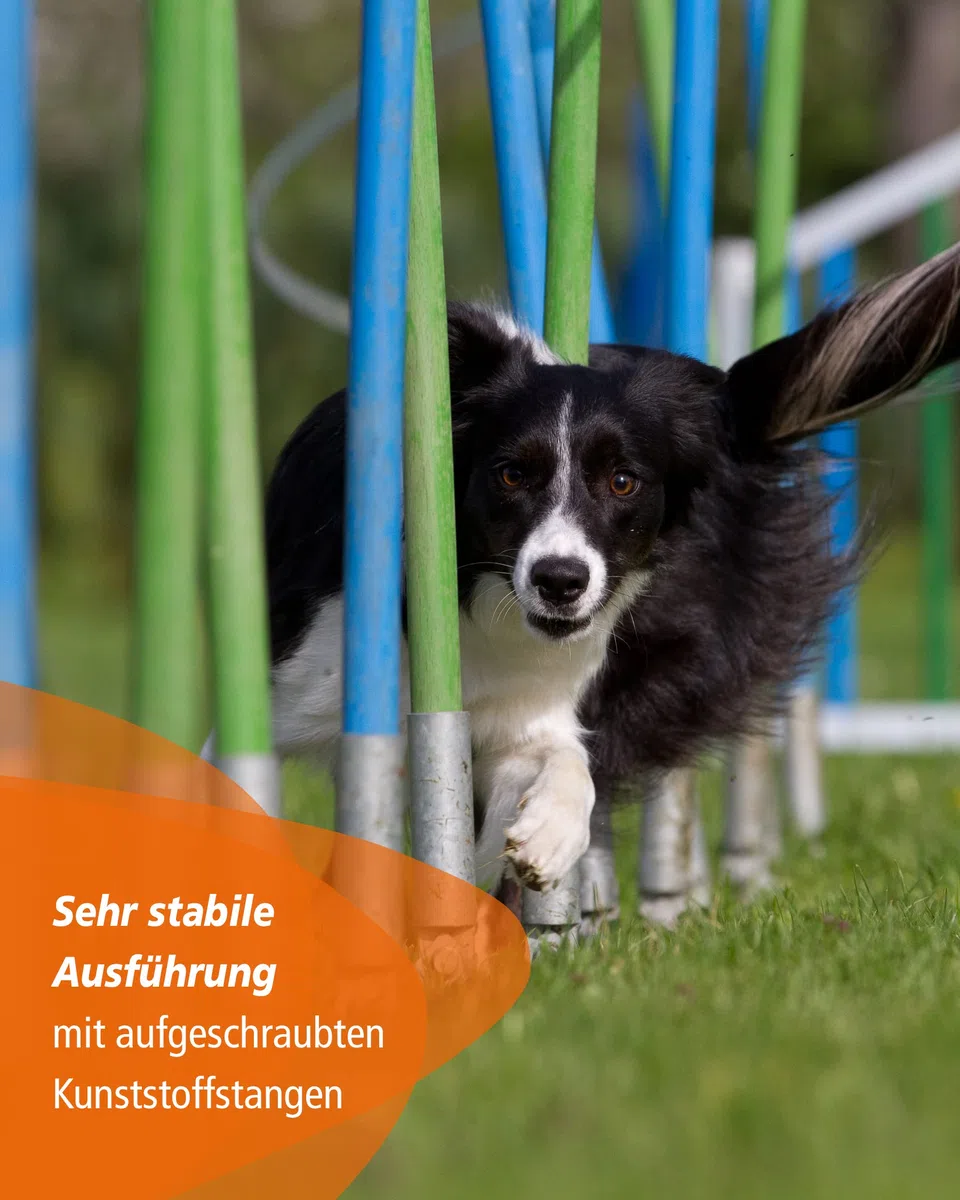 Agility-Slalom – Slalom für Turnier & Agility-Training – mit 12 Stangen & und Basis aus Metall – stabile Ausführung – FCI-konform – Set mit Tragetaschen