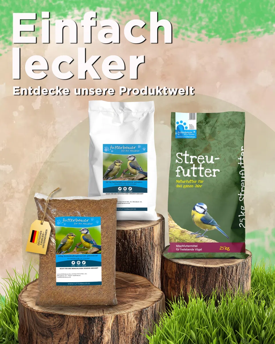 Futterbauer 25 kg Schwarze Sonnenblumenkerne im Papiersack für Vögel, 100% Natur, Hochwertige Energiequelle für Wildvögel, Hoher Fett- & Vitamin-E-Gehalt, Gereinigt & Getrocknet mit Schale, Ernte 2025