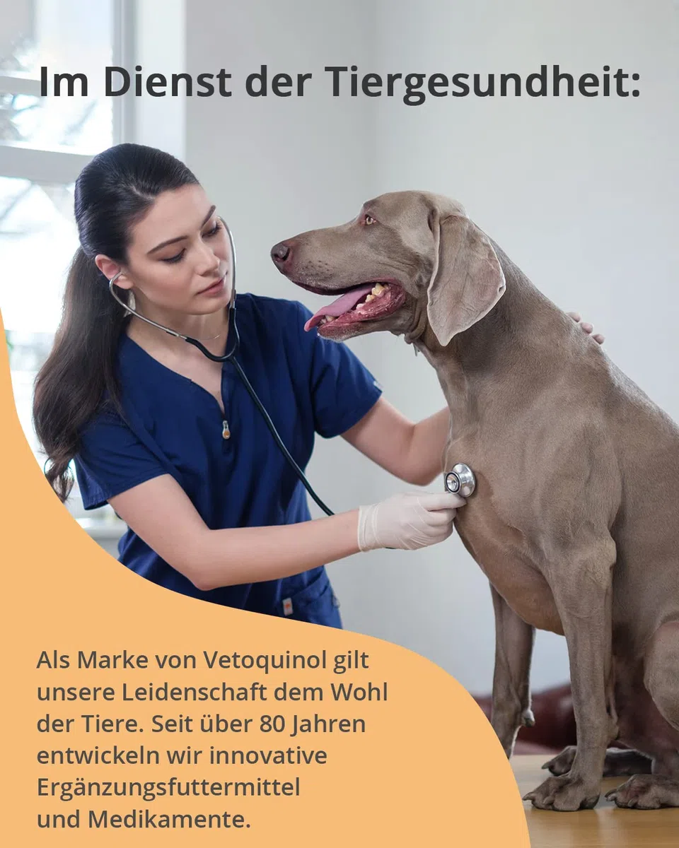 Vetoquinol Caniviton Plus Maxi | 90 Chews | Ergänzungsfuttermittel für Hunde | Kann unterstützend wirken in der Gelenkgesundheit | Enthält Glucosamin und Chondroitinsulfat