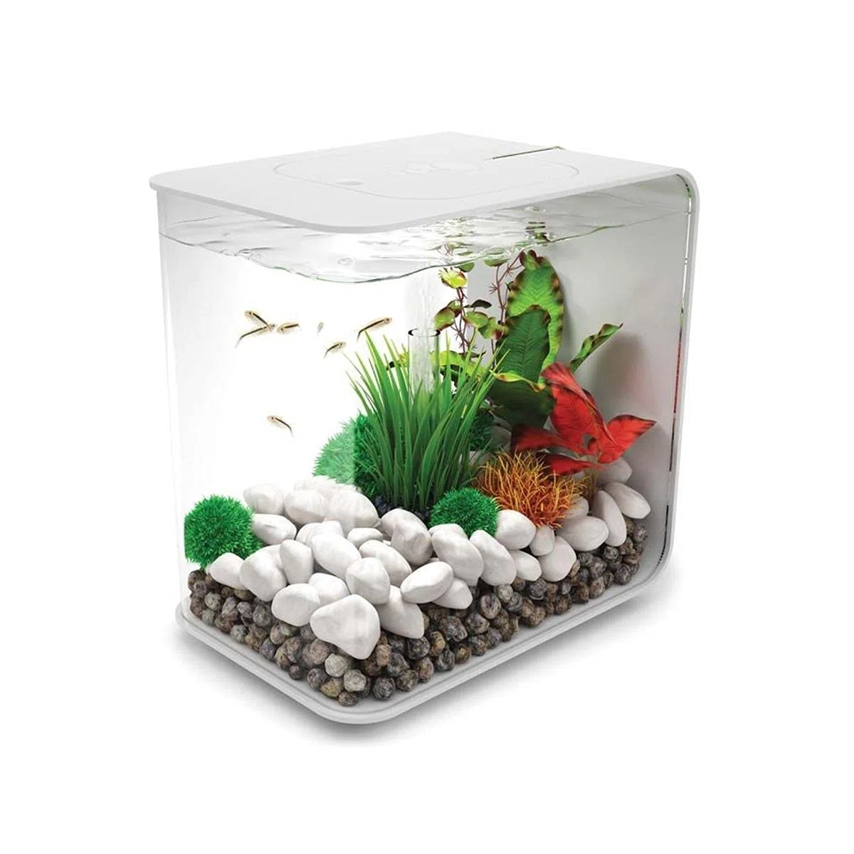 biOrb FLOW 30 - Aquarien-Komplett-Set mit LED Beleuchtung und patentiertem Filter-System, Acryl-Becken
