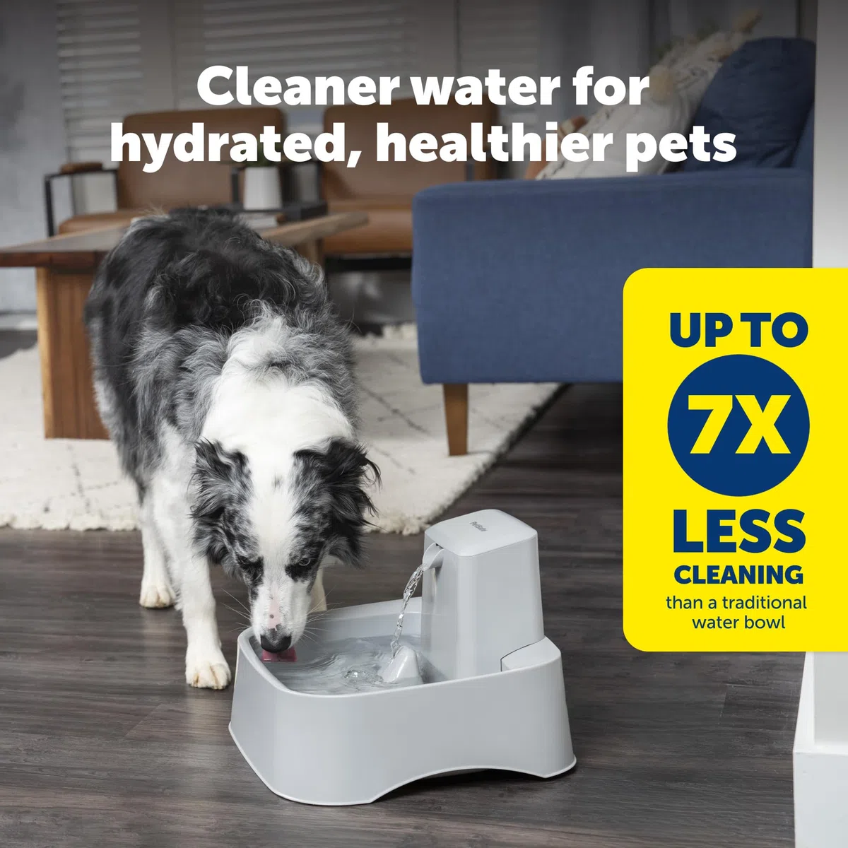 PetSafe Drinkwell Wasserbrunnen für Katzen, Hunde oder mehrere Haustiere – Automatischer Wassernapf – Pumpe und Wasserfilter im Lieferumfang enthalten – spülmaschinenfest – leicht zu reinigender