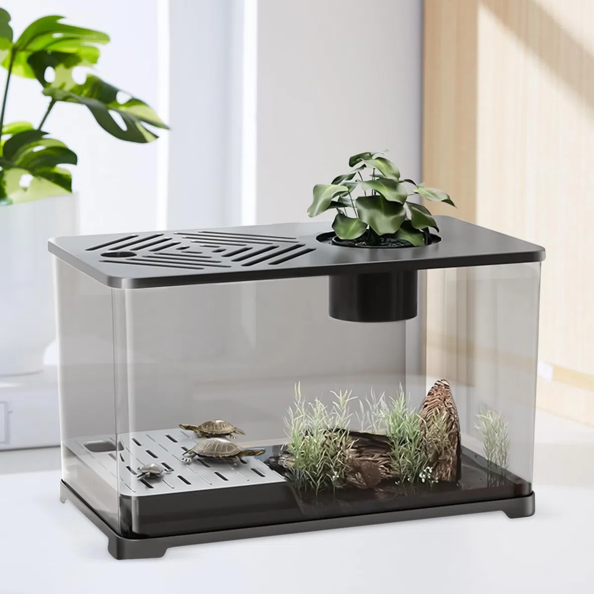 Fischbecken Großes Aquarium-Set Schreibtisch Fischbecken | Panorama Sichtbecken Mit Schildkröten Ruhebereich Für Guppy Garnelen Quallen Und Wasserpflanzen Als Schreibtisch Deko