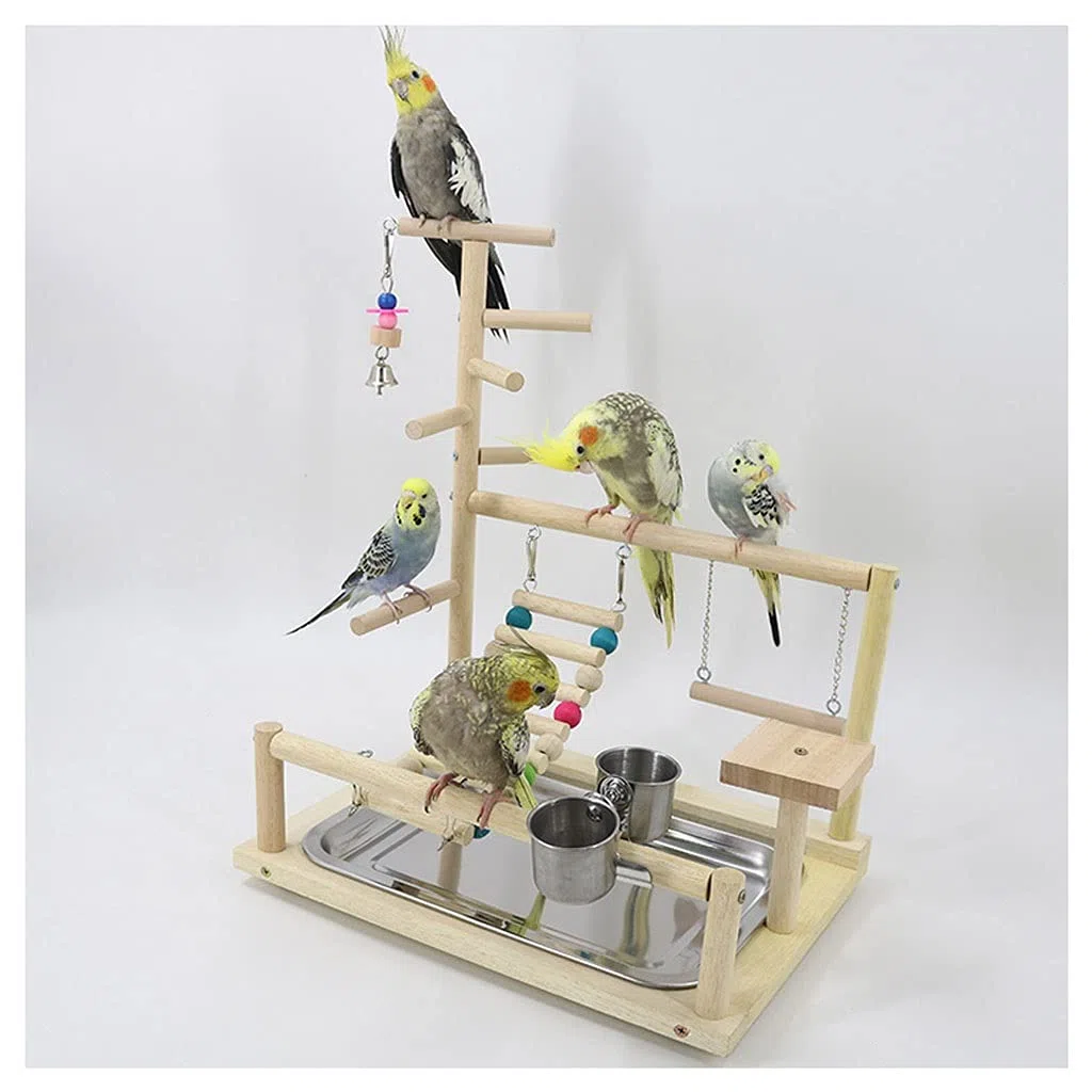 Papagei Spielplatz Ständer - Interaktives Vogelspielzeug mit Schaukel zum Klettern und Spielen - Ideal für Sittiche und Finken Haustierbedarf