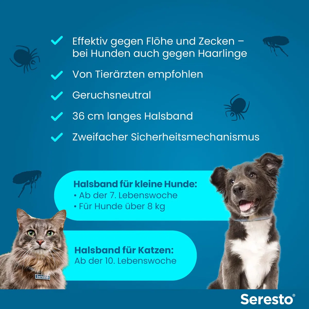 Seresto Zeckenhalsband Kombi-Set für kleine Hunde bis 8 kg & Katzen, 2 Halsbänder | Praktisches Set mit 1x für kleine Hunde bis 8kg & 1x für Katzen. Bis zu 8 Monate Schutz gegen Zecken und Flöhe