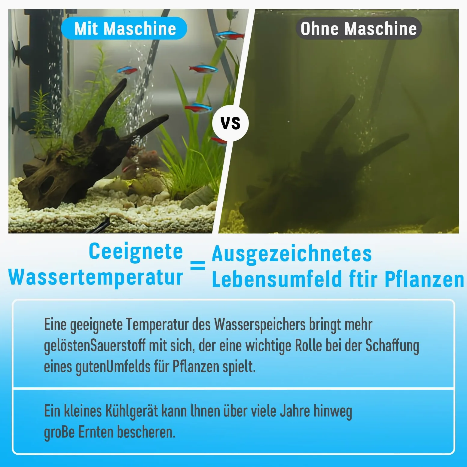 Aquarium Durchlaufkühler 160L, Wasserkühler Aquarium Spezielle Leise Design für Fischbecken Wasserkraut Quallen Süß- / Salzwasser-Wasserpflanzen, Aquarium Chiller mit Pumpe, Schlauch und Haltering
