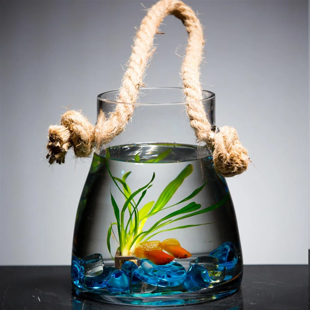 Aquarien Hängendes Aquarium for drinnen und draußen, Wohnzimmer, kleines Wand-Goldfisch-Aquarium, Glasaquarium, ökologisch, dekorativ, kreative Fischtanks Wohndeko