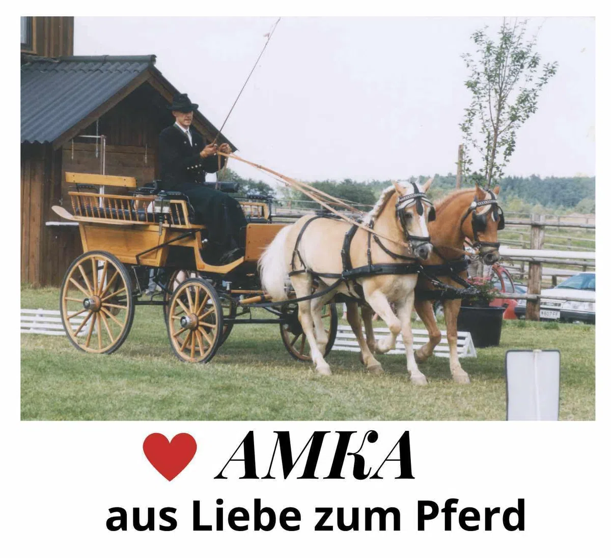 Postkandare gebrochen Edelstahl mit 2 Ringen