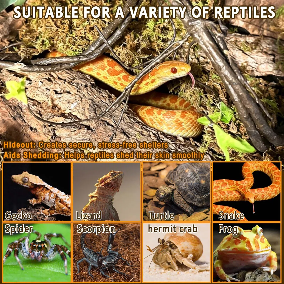 BNOSDM Reptilien-Terrariumrinde Substrat Bettwäsche Schildkröte Naturkork Rinde Reptilien Klettermatte Lebensraum Dekor für Eidechse Schlange Spinnen Einsiedler Krabben Tarantel Geckos Bartagamen (0,3